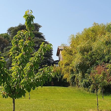 Villa Douceurs Des Vignes Du Vivian Denicé Exterior foto