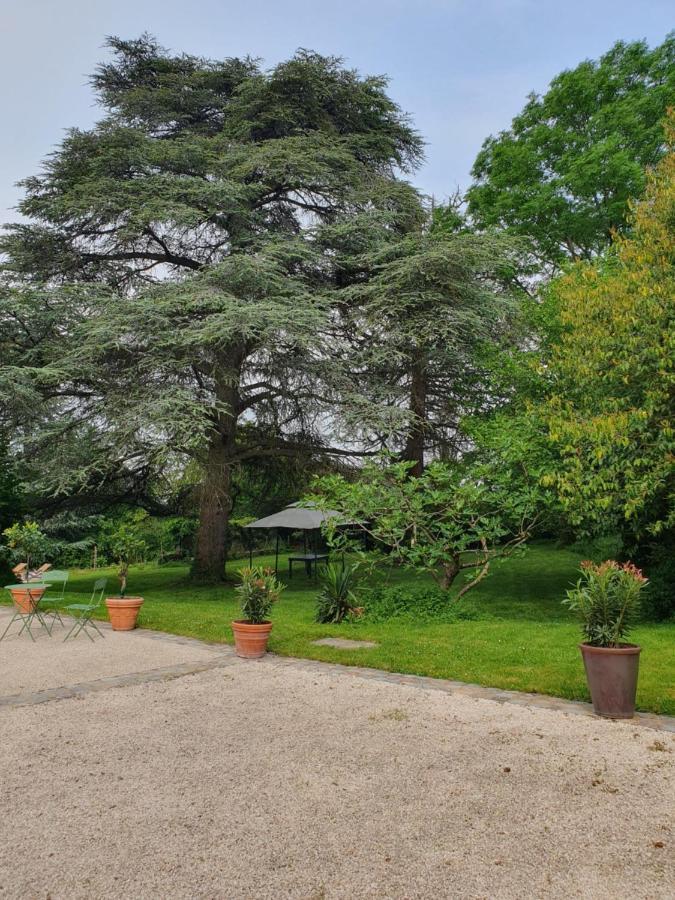 Villa Douceurs Des Vignes Du Vivian Denicé Exterior foto