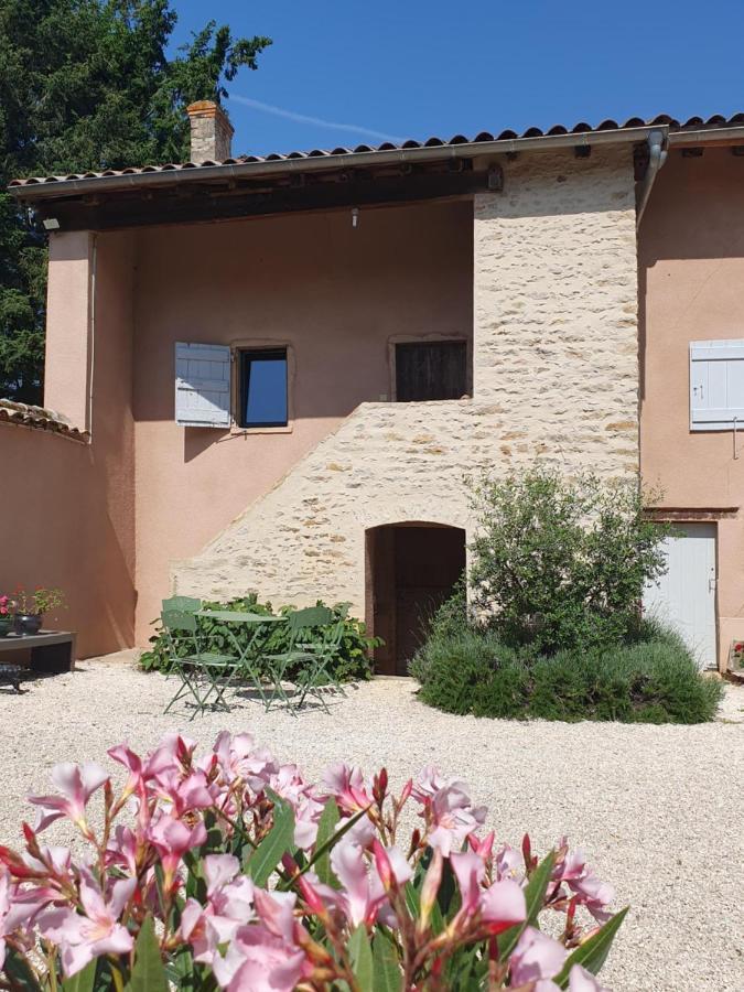 Villa Douceurs Des Vignes Du Vivian Denicé Exterior foto